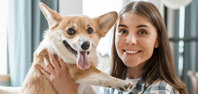 Pet-sitter - cura degli animali - Famtotum